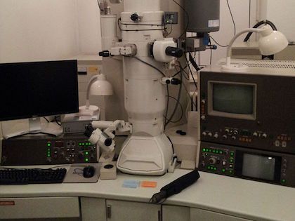 mikroskopy elektronowe